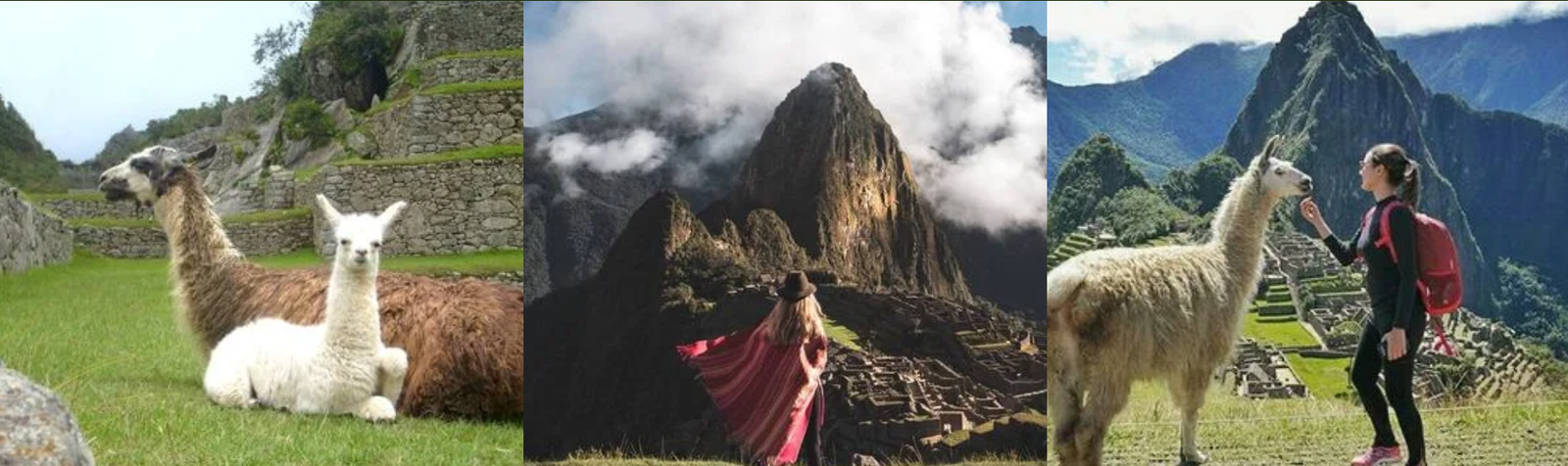 Inca-Trail-Treks bg