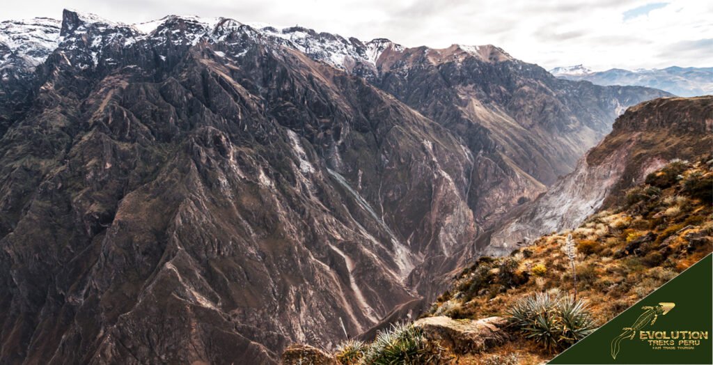 Colca Canyon Trip