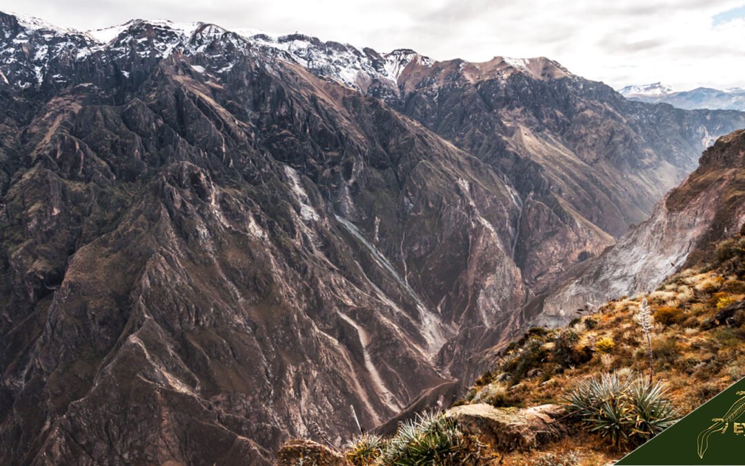 Colca Canyon Peru Guide: Tours, Hiking, Maps, Buildings, Facts and History
