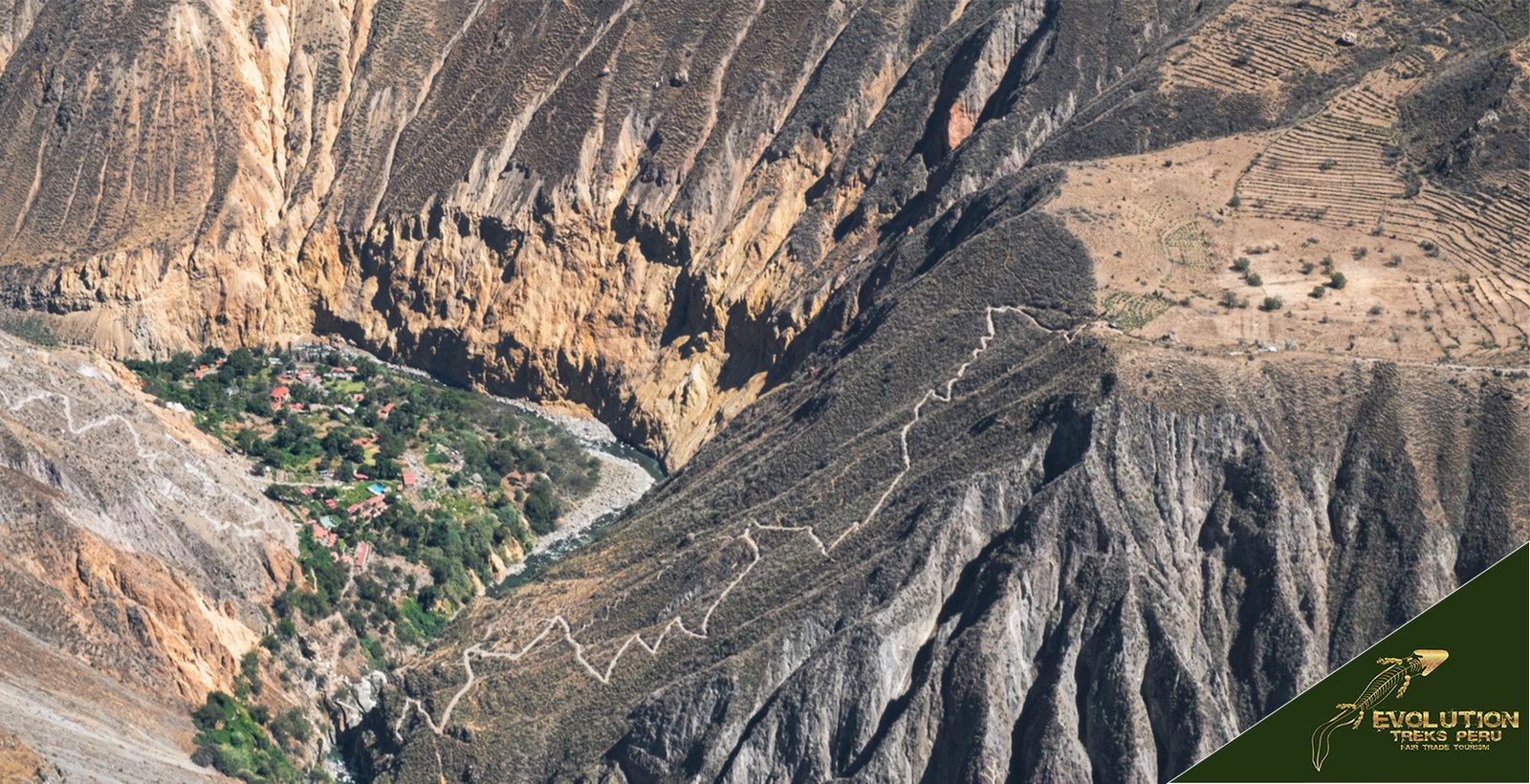 Colca Canyon Trip