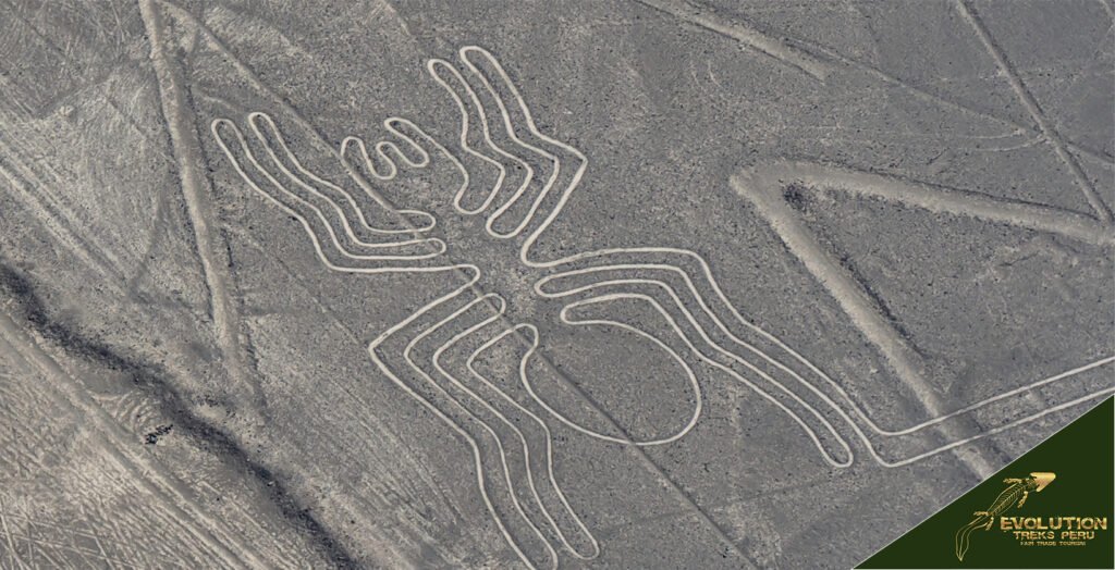 Nazca lines