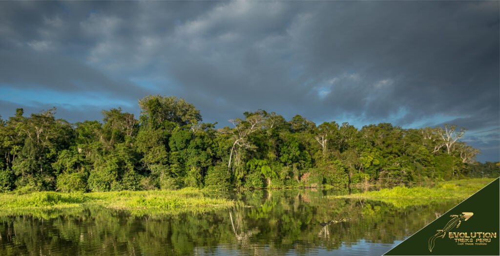 Tambopata Trip