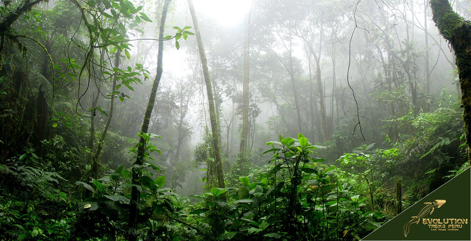 Amazon-Jungle-Trip-1640x840 Amazon-Jungle-Trip