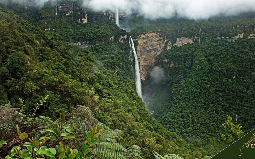 Guide to Gocta Waterfall Peru: Tours, Hikes, Maps, Facts, and History