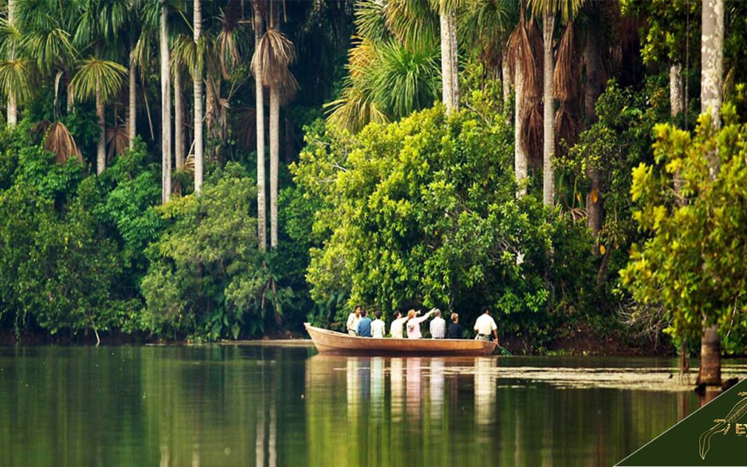 Lago Sandoval Peru Guide: History, Hiking, Facts, Maps, and Tours